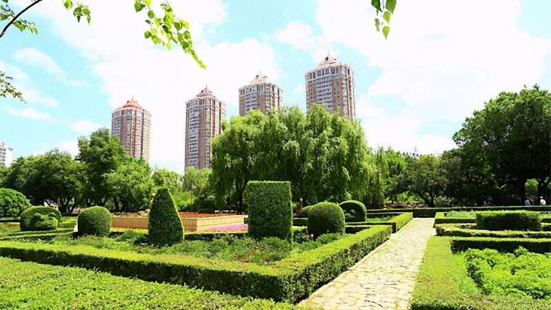 花卉租摆一年的成本主要包括以下几个方面：