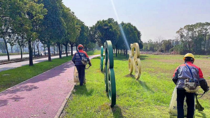 屋顶露台庭院设计：材质选择与搭配之道