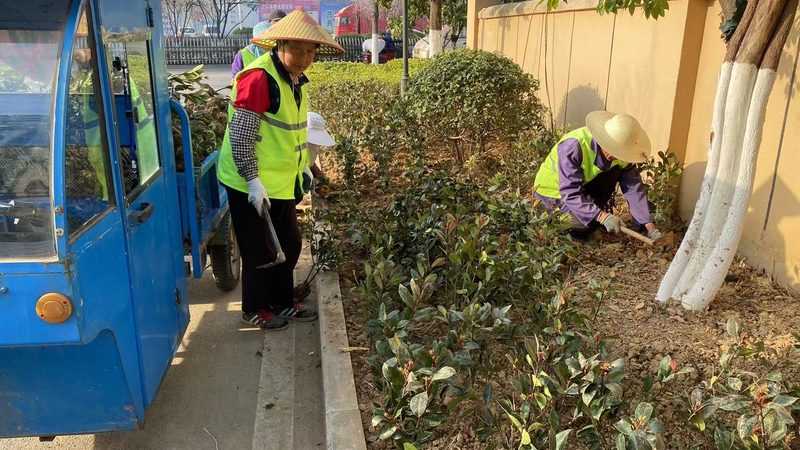 成都新中式庭院设计：探寻传统与现代的和谐交融