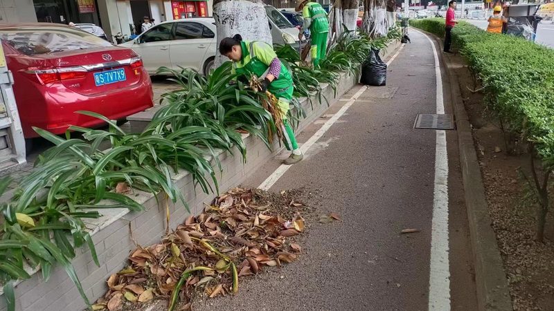 园林绿化监理方案编制：关键要素与实施步骤**