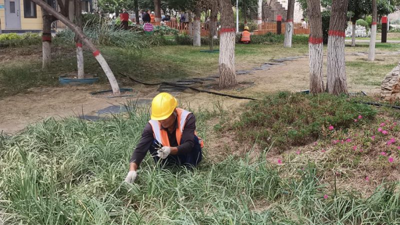 园林绿化工程投标流程解析：关键步骤与注意事项**