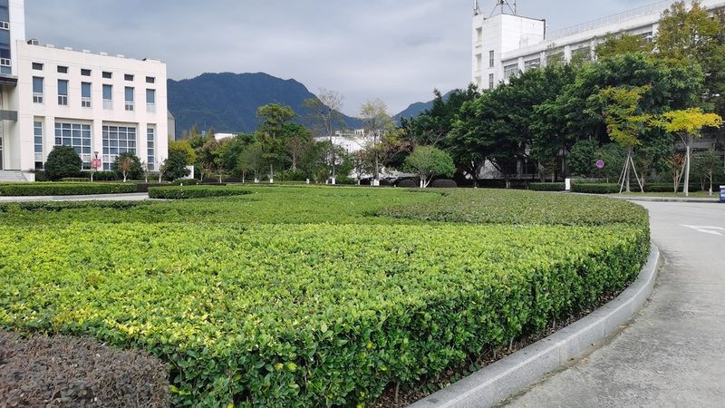 酒店景观绿化养护外包：如何选择专业可靠的服务