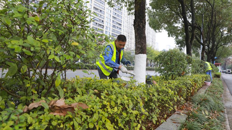 高尔夫球场草坪养护设备：型号与规格全解析**