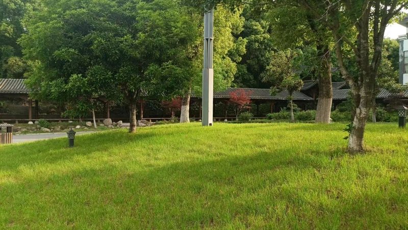 植物墙养护，这些细节你注意到了吗？**